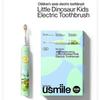 Q4 Children's Sonic Electric Toothbrush - Dinosaur Design