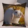 Sofa Car Home Decor Cute Rabbit Cushion Cover Bedroom Living Room Pillowcase Pet Animal Pillowcase