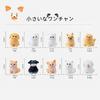 Voyyphixa Miniature Dog Set of Cute Small Dog DIY Tabletop Landscape Bonsai Fun Gifts for New and More Figurines, 10, Figurines, Decor, Gifts,