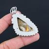 925 Silver Trillion Natural Petrified Wood Jasper New Root Chakra Wife Pendant