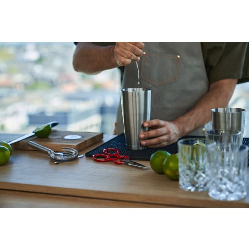 Zwilling "Classic Satin Kitchen Scissors" Stainless Steel Kitchen Scissors, Made in Germany [Official Japanese Product] 43923-200