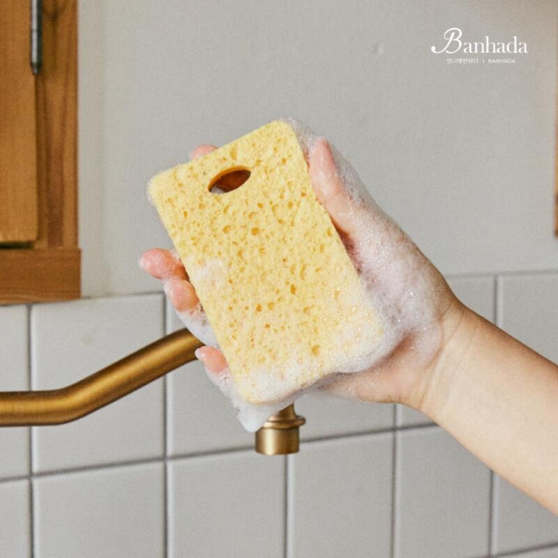 (3+3) Coconut Sisal Sponge Natural Kitchen Sponge Coconut scrubbers 3+3 (6 total)