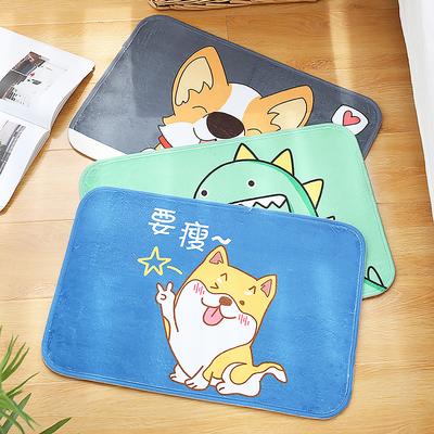 Cartoon Non-slip Mat Household Water Absorbent Carpet Multifunctional Velvet Carpet Type 3