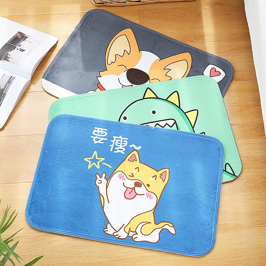 Cartoon Non-slip Mat Household Water Absorbent Carpet Multifunctional Velvet Carpet Type 3