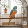 Bowtie Pet Parrot Diaper Adjustable Bird Flight Suits Washable Parrot Flying Clothes  Travel