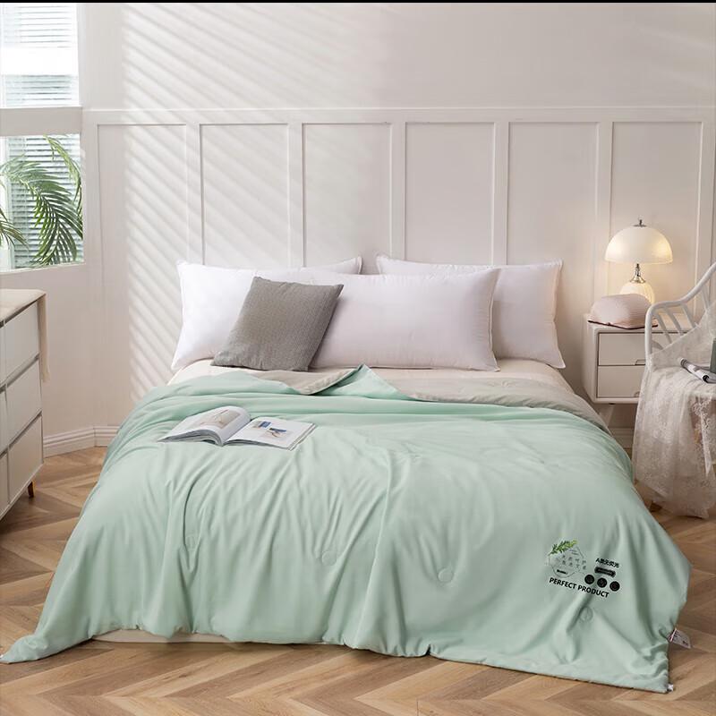 

Dohia All-Season Mugwort Scented Washable Quilt