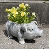 1 piggy flower pot, minimalist and cute pig resin flower pot statue, characteristic garden and courtyard decoration ornament.
