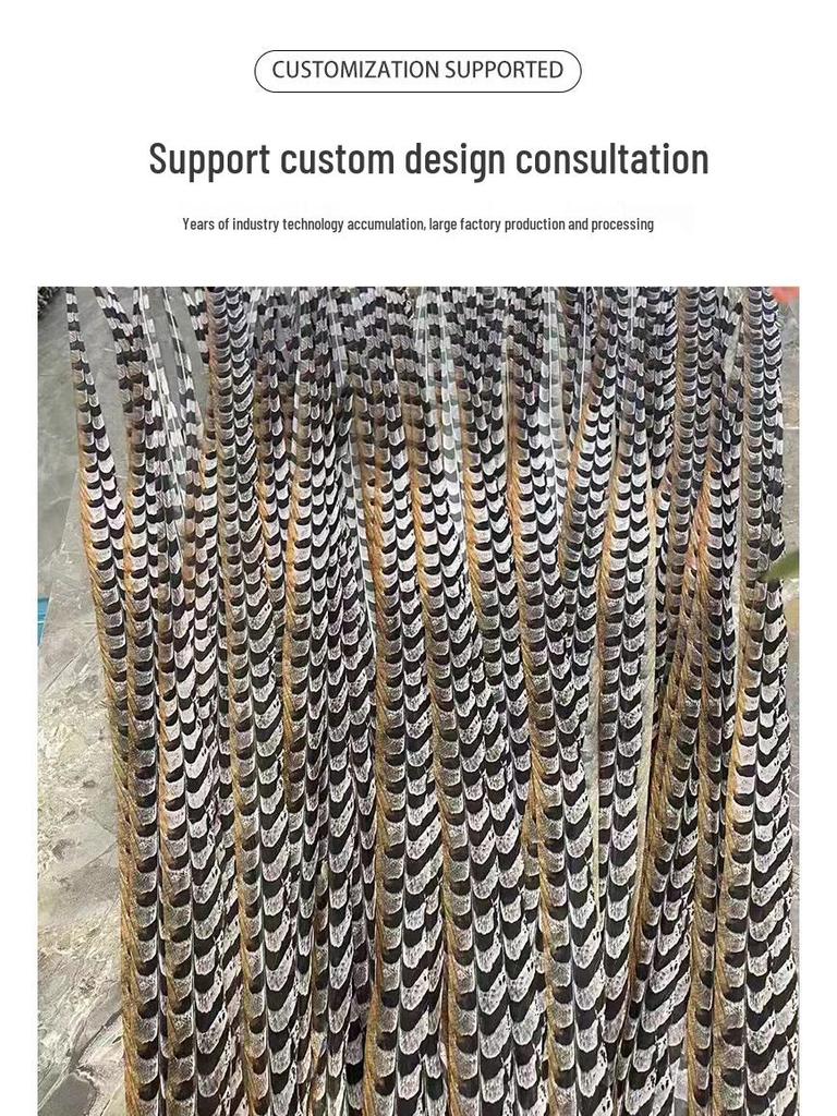 Yingge Peking Opera Headdress with Sun Wukong Pheasant Feathers