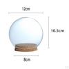 Display Cloche Ball Shaped Flower Jar Dome Immortal Preservation, Miniature Dollhouse Container with