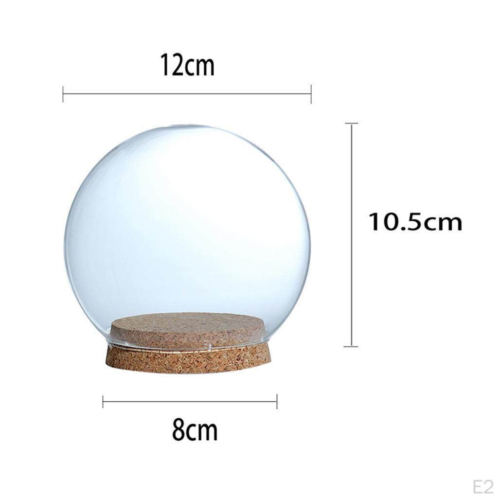 Display Cloche Ball Shaped Flower Jar Dome Immortal Preservation, Miniature Dollhouse Container with