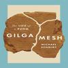Gilgamesh by Michael Schmidt Paperback Book 9780691205168