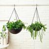 Iron Hanging Flower Pot for Hydroponic and Succulent Plants, European Garden Decoration