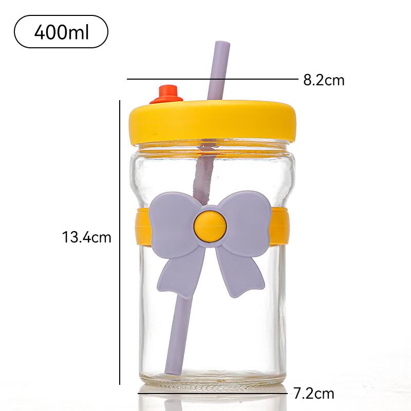 Shengye Stylish Portable Glass Water Bottle with Straw