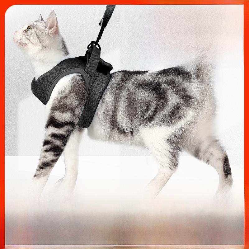 

Ultra-Light Comfortable Cat Harness and Leash Set L (33-38cm chest, 9-12 jin)