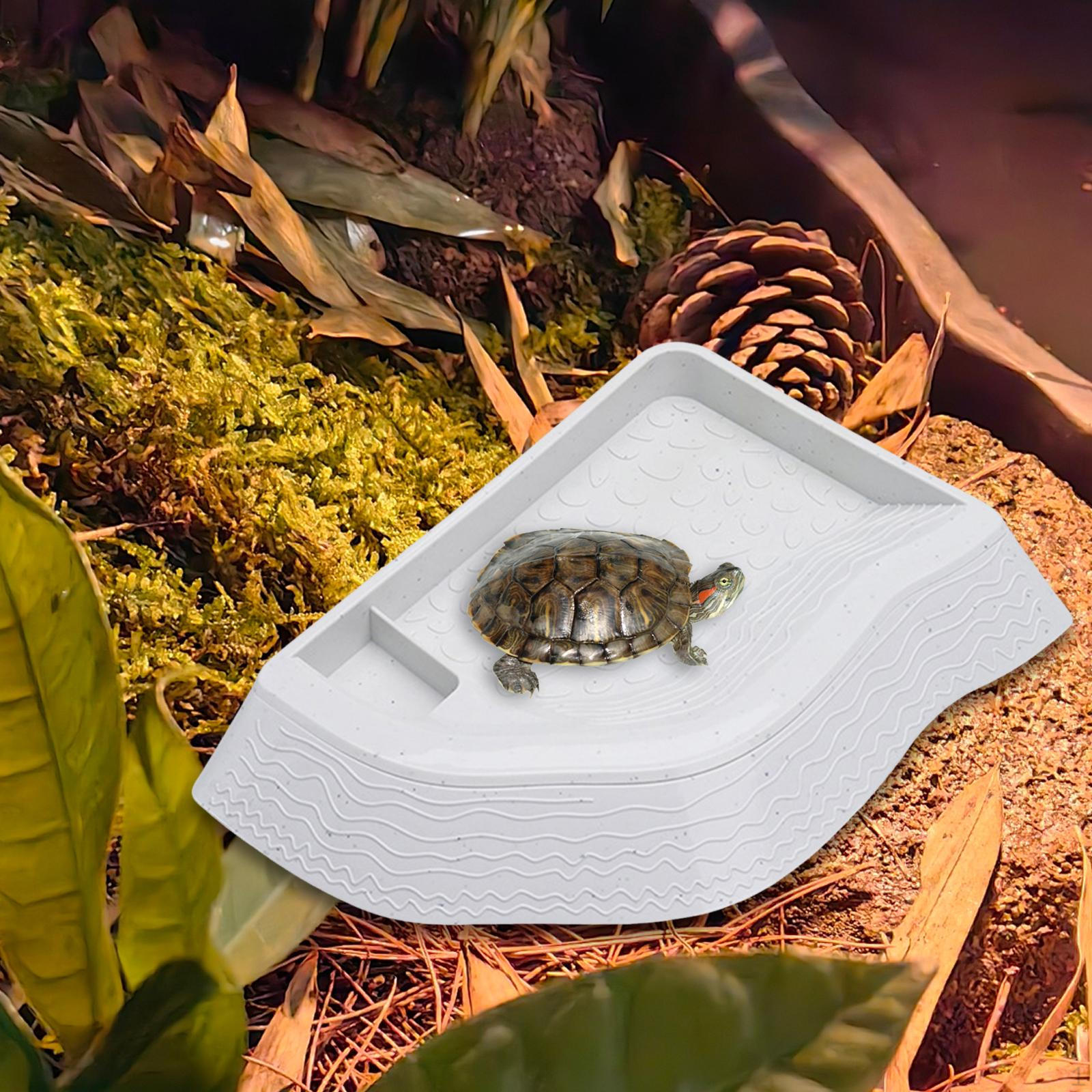 

Украшение для аквариума с рампой для кормления и купания черепах White