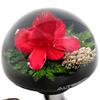 AUTOLAND Unterwasser Blume Lenkrad Lenkradspinner Echte Frische Blume 65mm Dick Durchmesser Griffspinner, Rot, Knauf, Orchidee, Kunst,