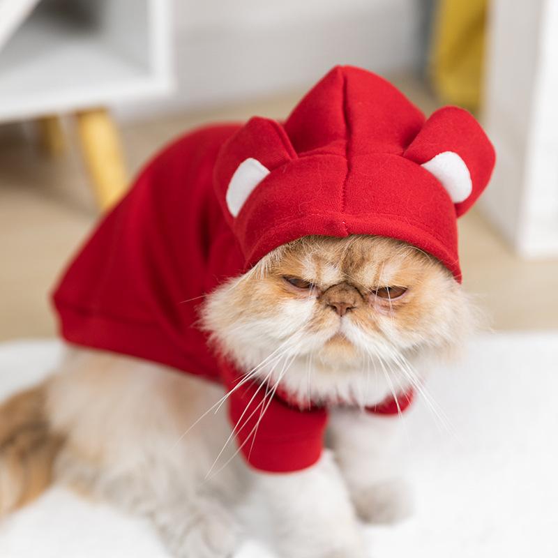 Autumn and Winter New Pet Cute Transformation Outfit Small Dog Bear Ears Dog Clothes Velvet Warm and Comfortable Teddy Bear