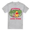 Winnie the Pooh Unisex Adult Hundred Acre Wood Badge T-Shirt