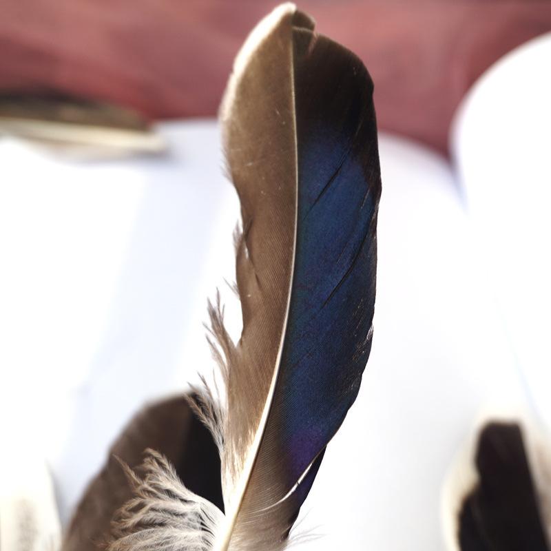 Primary Color Pheasant Hair Duck Feathers Handicrafts Indian Headdress Decorative Materials