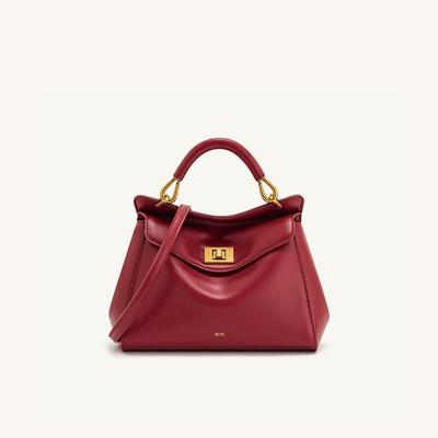 Small Niche Design Handbag Lock Shoulder Crossbody Bag  High-end Feel  Light Luxury Bag  Women's Brand Bag