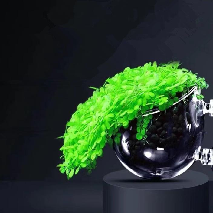 Aquatic Plant Cultivation Cup: Mini Polka Dot Pot for Fish Tank and Aquarium Breeding with Suction Cup