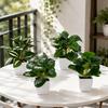 Desktop Ornament Home Decor Ring Plastic Green 1 Pc