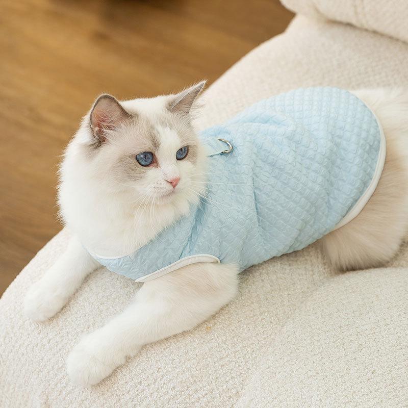 Cat Clothes Autumn and Winter Warm Into Cat Kitten Two-legged Vest Small Dog Puppy Dog Pet Cat Rice Clothing