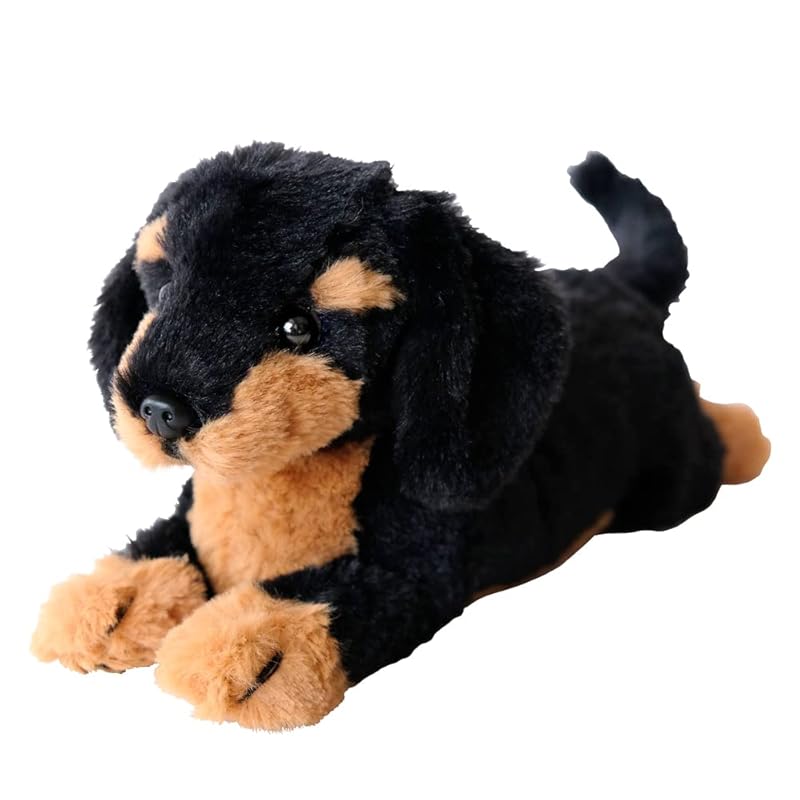 

Sun Lemon Miniature Dachshund Knee Puppy, Black, Short Sleeve, 13 x 18 x 12 cm, Plush Animal, Cute Dog, P-8072