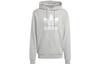 Originals Sweatshirt Men's Gray IA4884