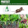 60x Peppermint To Repel Mice Natural Mouse Repellent Ball Natural Peppermint Oil Mouse And Rats Repellent Rodent Repellent With Bag_lucky_b