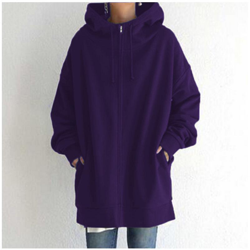 Autumn/Winter 2023 Street Style Fleece-Lined Zipper Hoodie (HS0714)