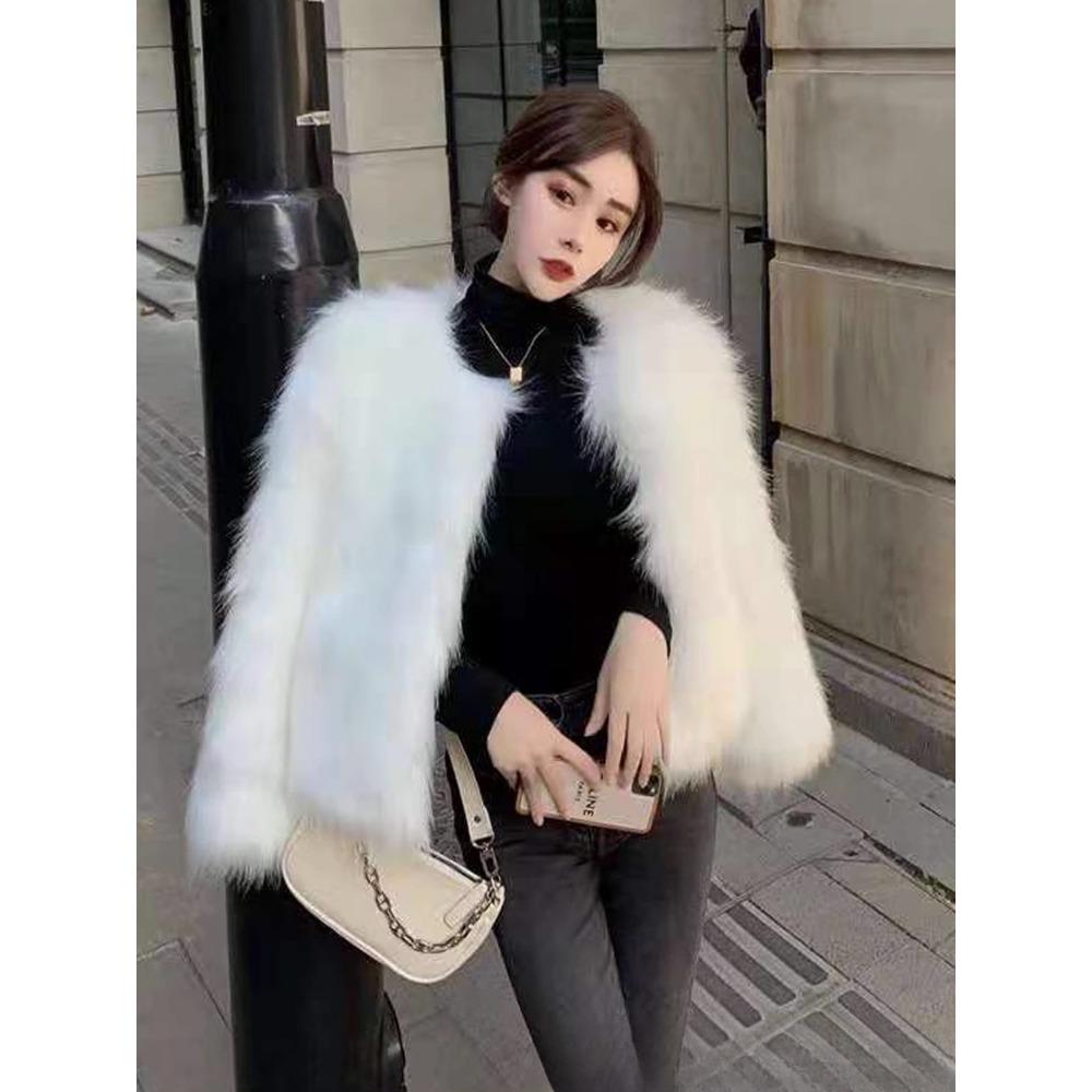 Autumn and Winter Fur Women's Short New Imitation Fox Fur Net Celebrity Young Winter Fur Short Coat