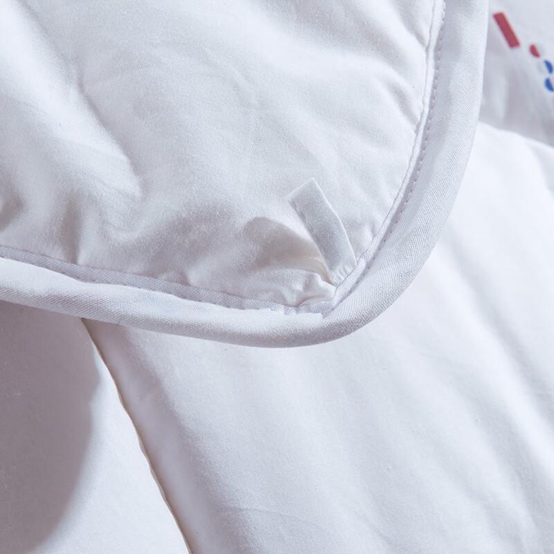 Yiyi Ai 100% Cotton Winter Quilt Insert