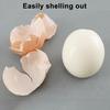 Stainless Steel Egg Piercer with Plastic Base Heavy Duty Egg Hole Puncher Hard Boiled Eggs Poker Peeler Pricker Tools Kitchen Gadgets