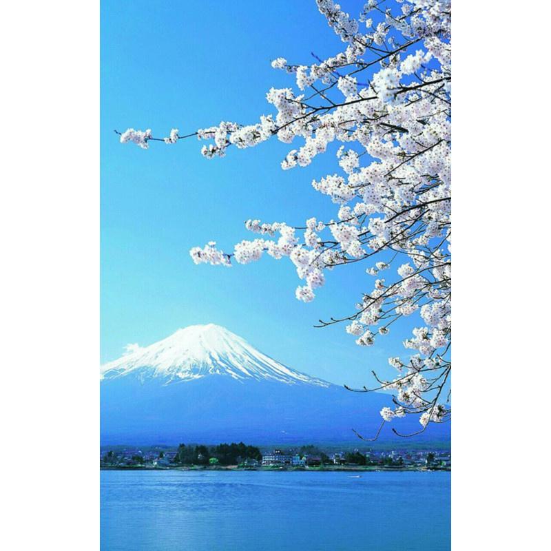 

5D DIY Алмазная картина Зимний лес Пейзаж Алмазная вышивка Набор для вышивки крестом Полный горный хрусталь Мозаика Домашний декор Square 50x70cm