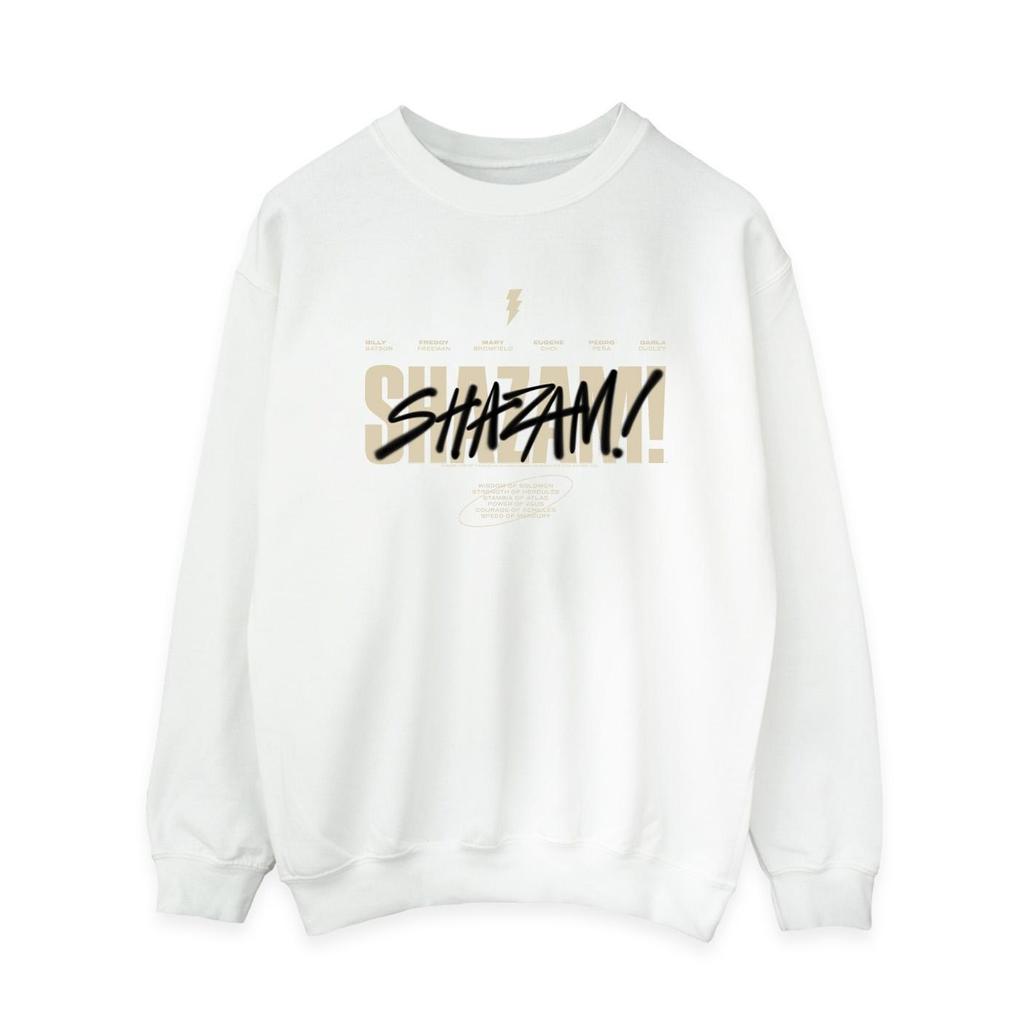 DC Comics Womens/Ladies Shazam Fury Of The Gods Vandalised Logo Sweatshirt