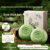 Platycladus & He Shou Wu Hair Strengthening Shampoo Bar
