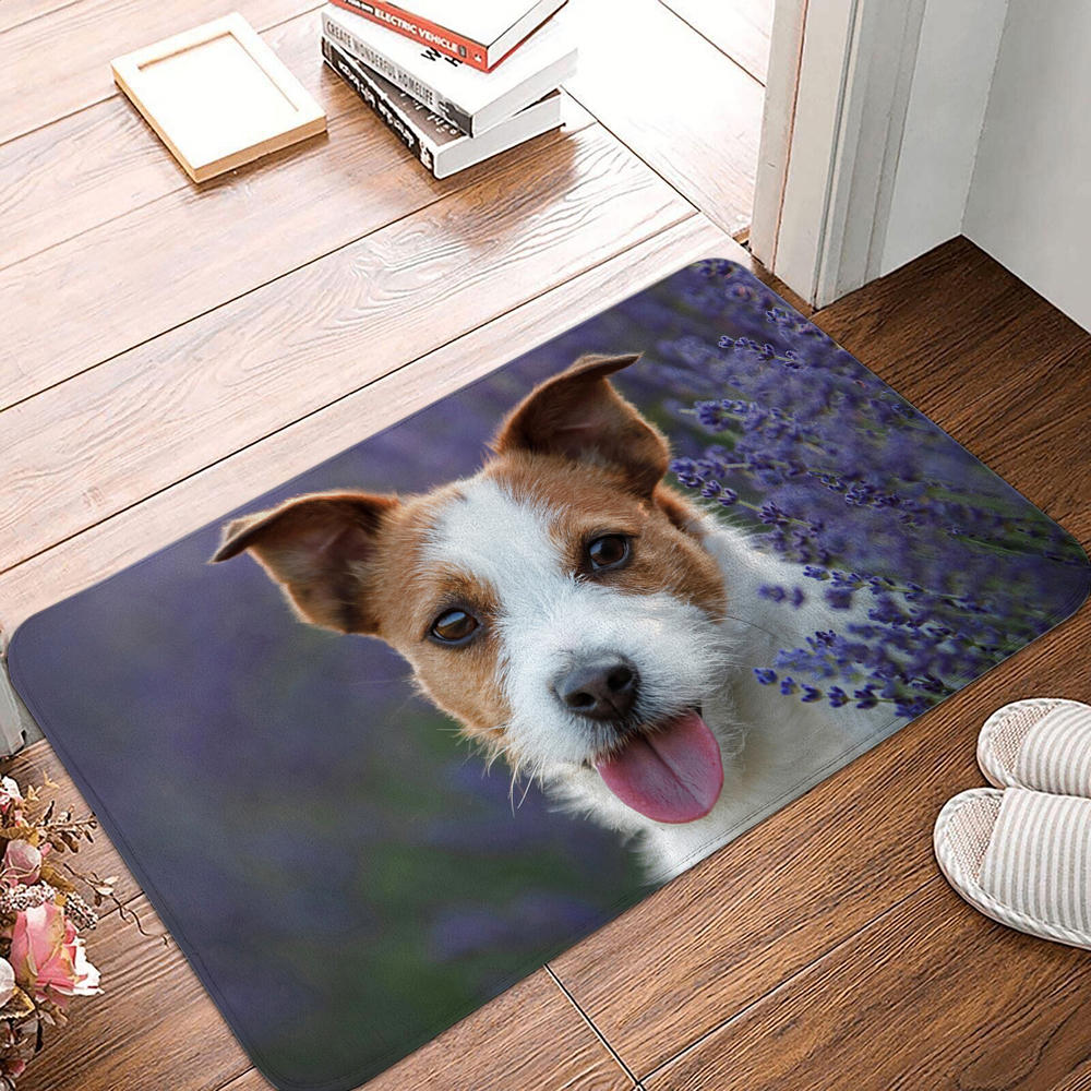 Non-slip Soft Rug Washable Living Room Bedroom Cute Dog Pattern Entrance Door Mat Floor Mat