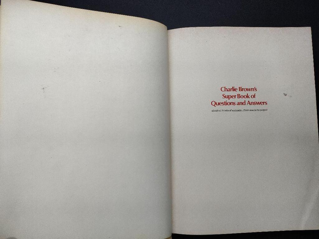 [USED] Snoopy English Books for Children English Learning Animation