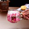200ML Clear Glass Mug Double Wall Insulated Cup with Handle Aesthetic Dehydrated Flower Design Heat Preserving Tumbler for Coffee Tea