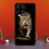 Cheetah Panther Snow Cheetah For Samsung Galaxy M33 M13 M35 M53 M11 M21 M31 M55 M15 M14 M34 M54 M12 M32 M52 M06 M16 Case