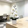 Butterfly Orchid Faux Plant With Plastic Material For Wedding Decor And Home Styling