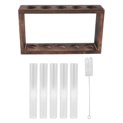 5 Test Tube Plant Terrarium Transparent Observe Growth Status Water Plant Holder with Wooden Stand