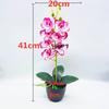 Phalaenopsis Artificial Aphrodite Rchb Potted Plant  For Gift And Interior Decor