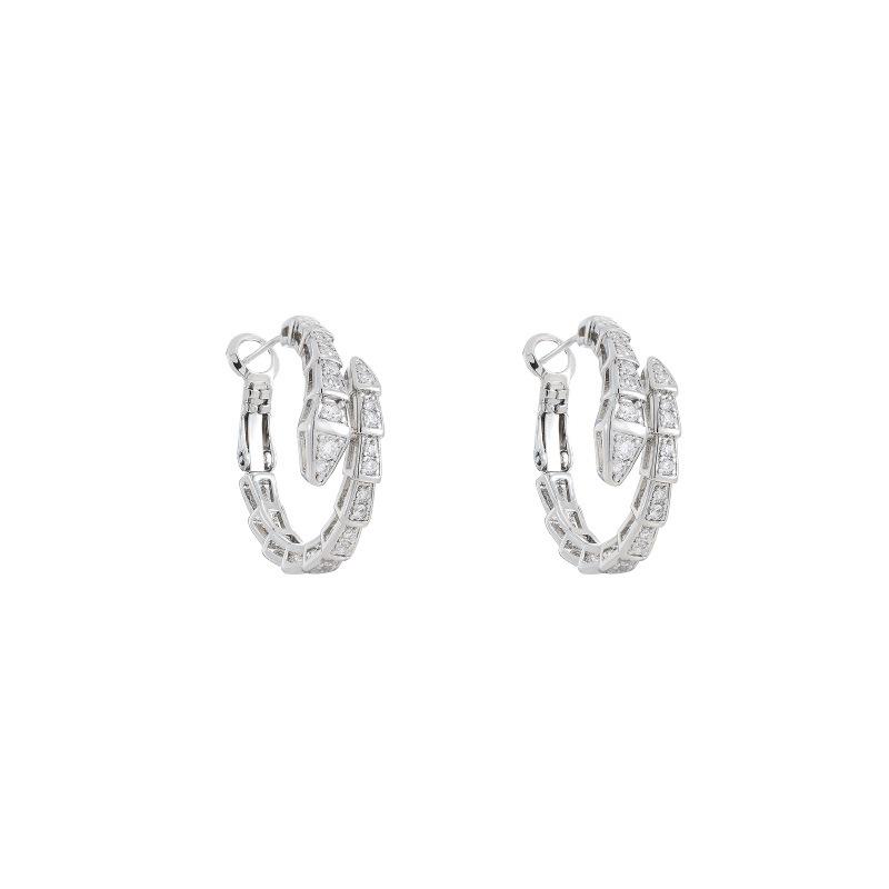 Female Fashion Serpentine Earrings