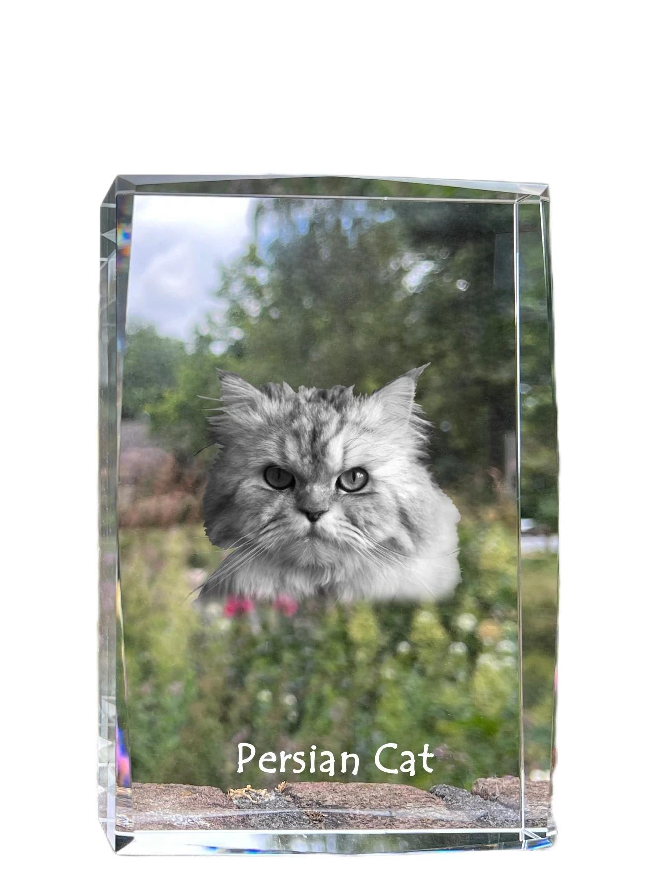 

Persian - crystal with a picture of a cat, photo in glass, modern exhibition of Art-Dog brand photo прозорий