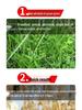 Tree Root Rot Eliminator: Powerful One-Drop Solution for Killing Rot, Weeds, and Bamboo
