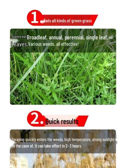 Tree Root Rot Eliminator: Powerful One-Drop Solution for Killing Rot, Weeds, and Bamboo