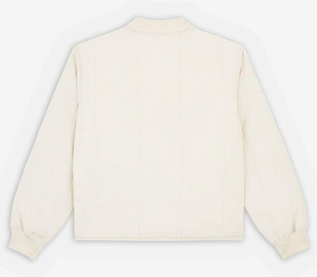 Demiseason Jacket Dickies Gardiner Liner Jacket (DK0A4Z35F901)
