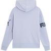 Puma Hooded Letter Logo Print Casual Pullover Sweatshirt Women sweatshirt Light-Purple 683870-68